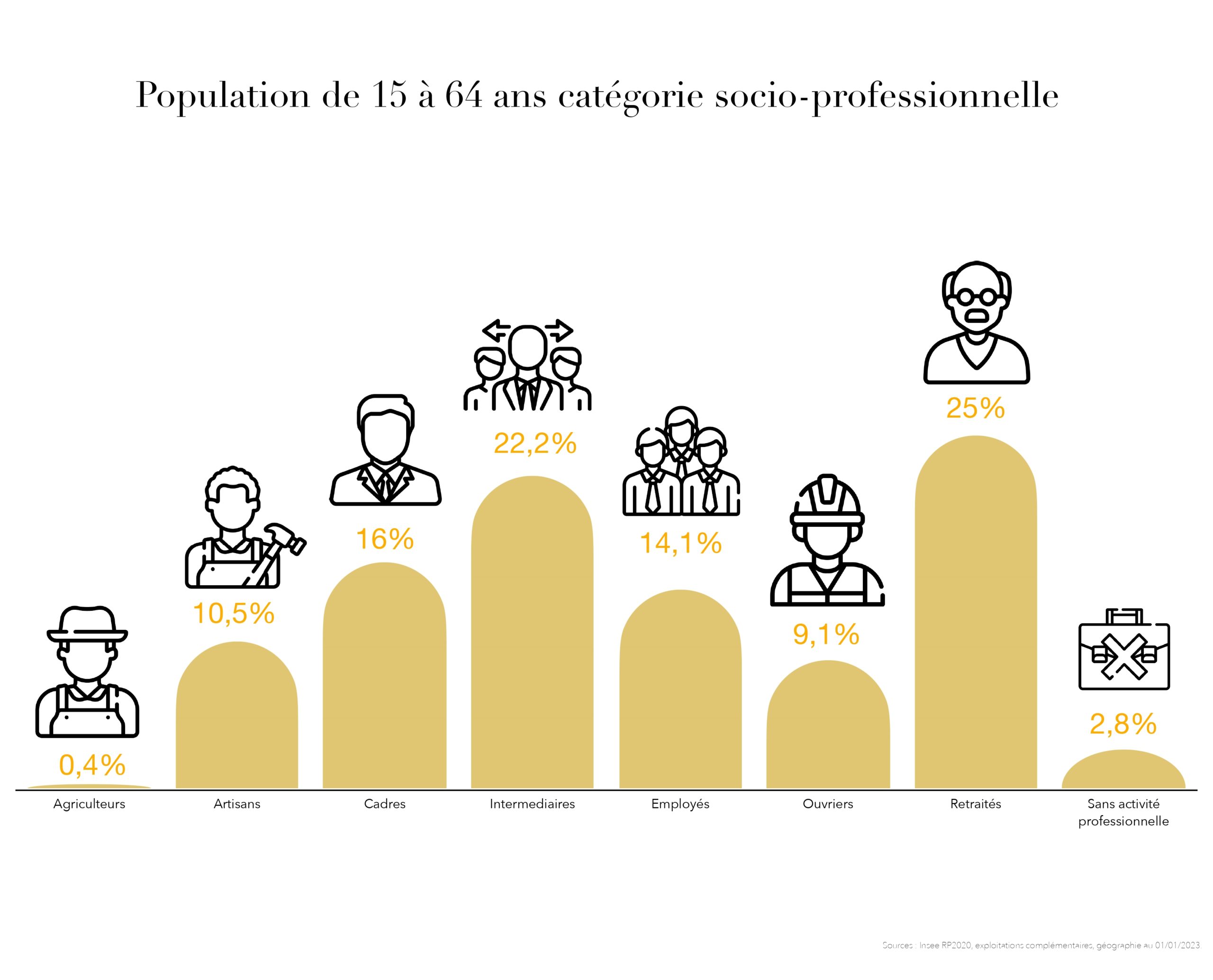 Données Brindas (socio-professionnelle)