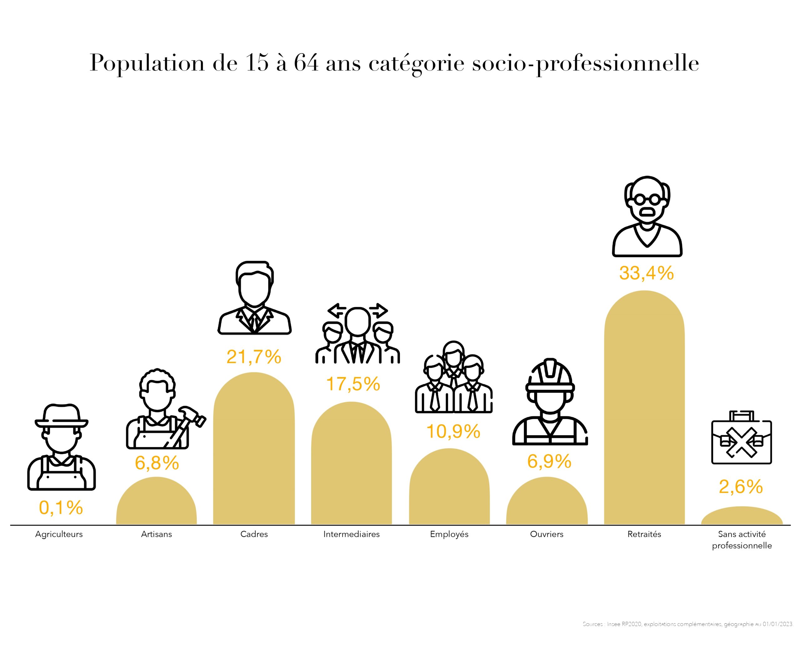 Données Chaponost (socio-professionnelle)