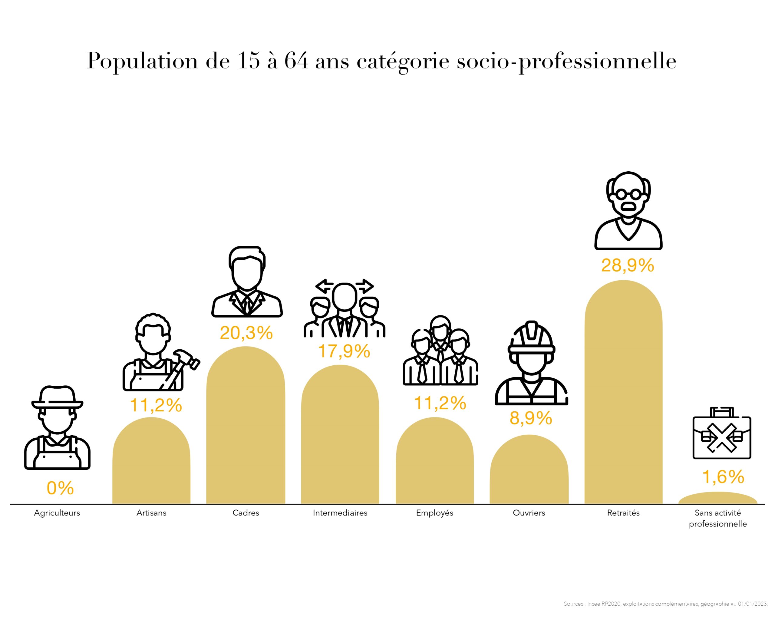 Données Orliénas (socio-professionnelle)