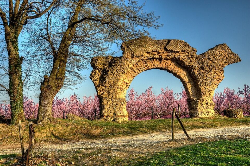 arche-chameau-rhone-960x640