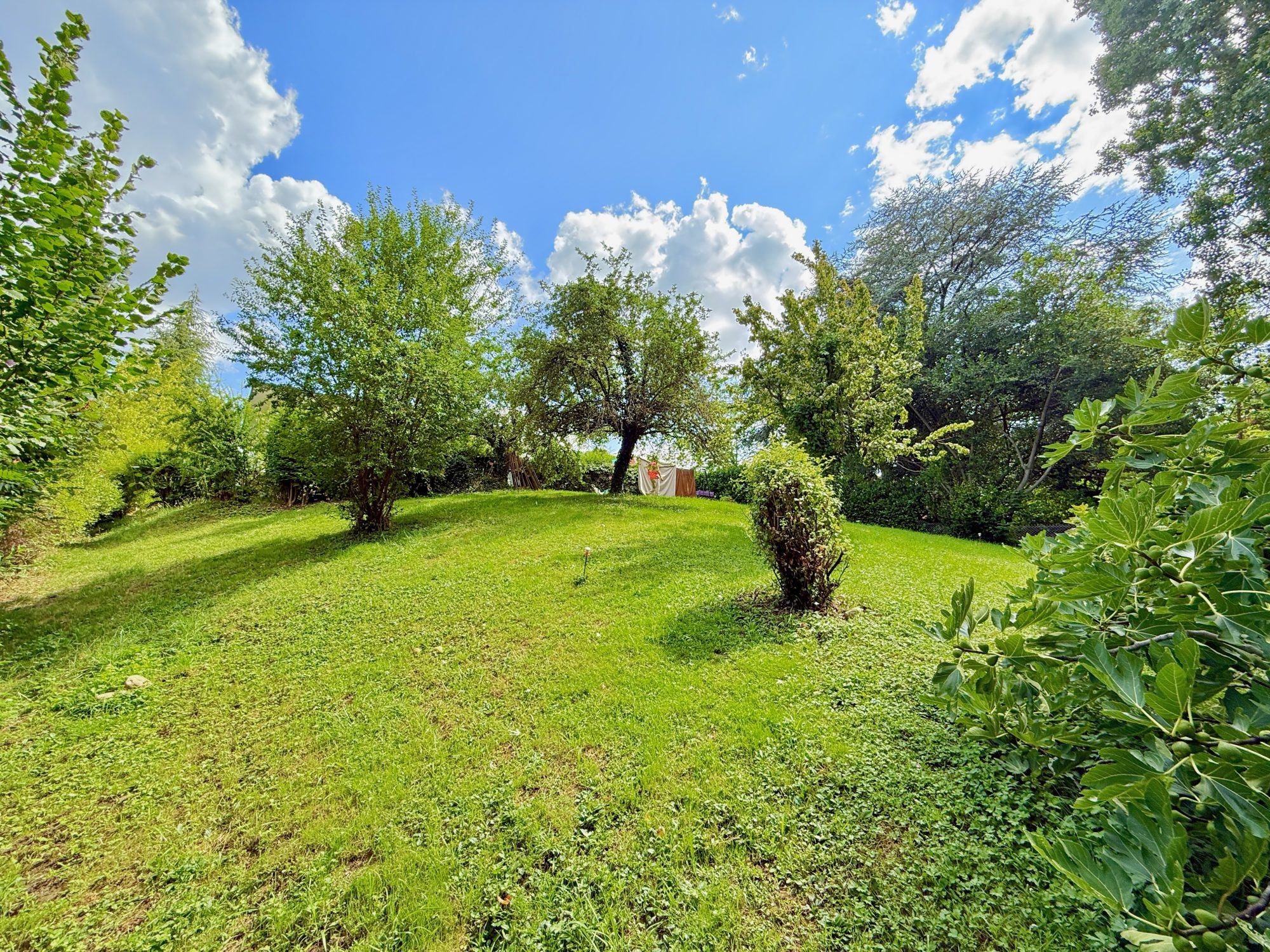 Terrain à batir – 619 m² – Francheville