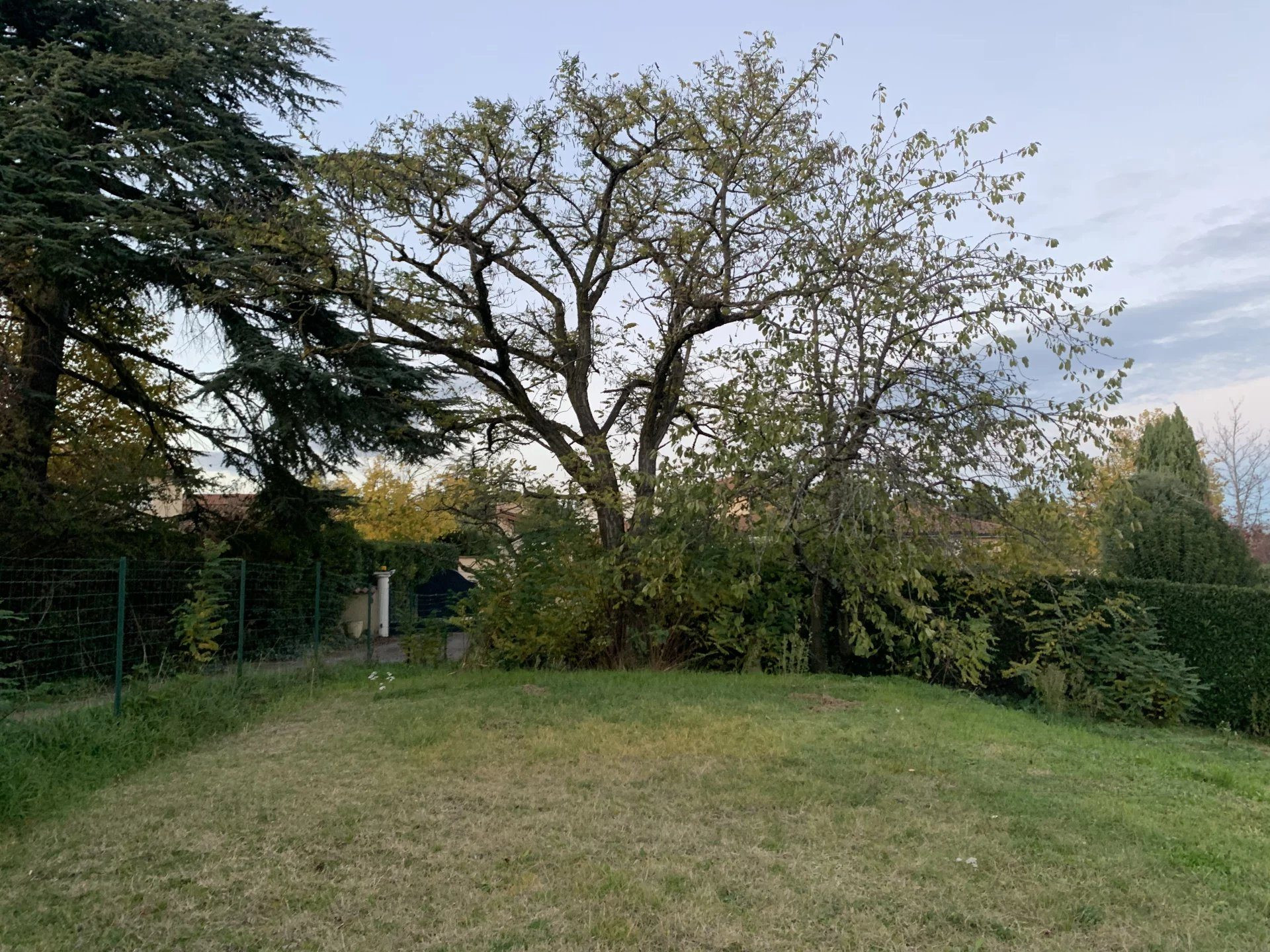 Terrain à batir – 554 m² – Chaponost